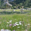 Familienwochenende Wurzeralm